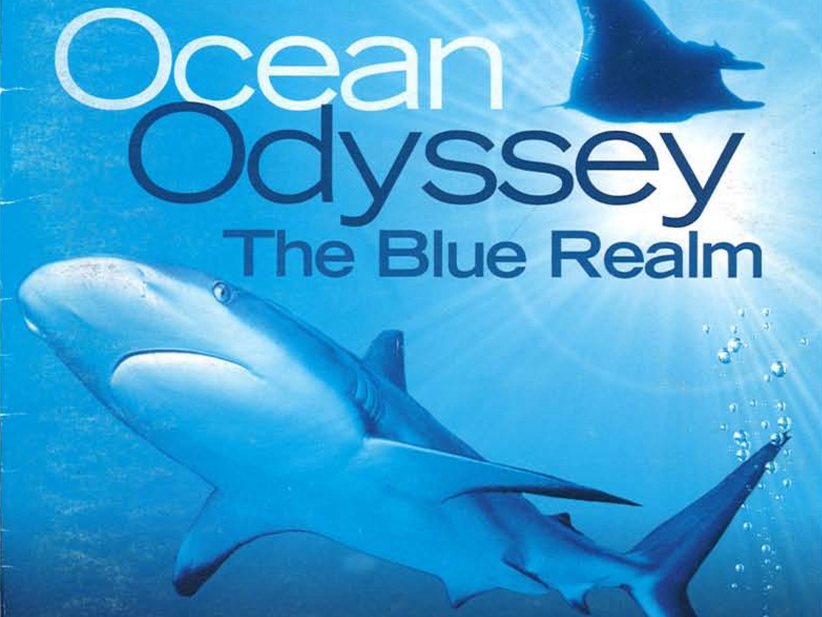 Ocean Odyssey: The Blue Realm Thuyết Minh